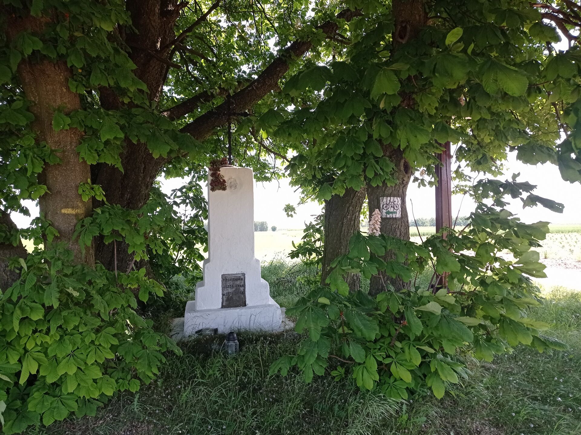 16. IMG 20230530 121348 Trzcianna Stara Rawa w polach SP 33