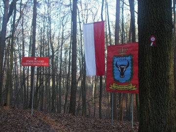 11 listopada - Narodowe Święto Niepodległości, S.Pytliński
