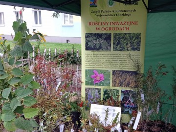 45. Święto Kwiatów, Owoców i Warzyw - relacja, 