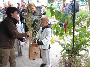 45. Święto Kwiatów, Owoców i Warzyw - relacja, 