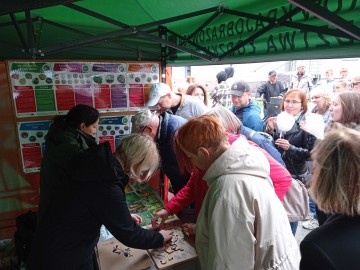 45. Święto Kwiatów, Owoców i Warzyw - relacja, 