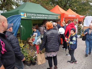 45. Święto Kwiatów, Owoców i Warzyw - relacja, 