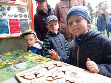 45. Święto Kwiatów, Owoców i Warzyw - relacja, 