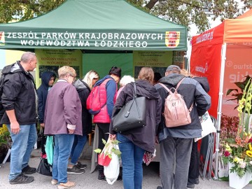 45. Święto Kwiatów, Owoców i Warzyw - relacja, 