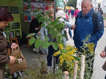 45. Święto Kwiatów, Owoców i Warzyw - relacja, 