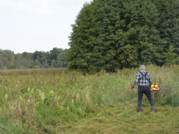 Czynna ochrona łąk w zespole przyrodniczo-krajobrazowym „Nieborów”, 