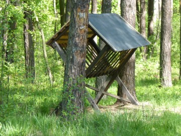 Paśnik