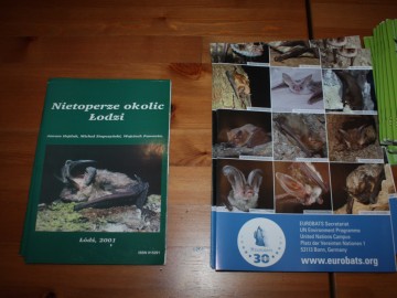 Międzynarodowa Noc Nietoperzy w Nieborowie - relacja, 