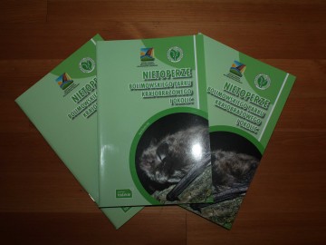 Międzynarodowa Noc Nietoperzy w Nieborowie - relacja, 