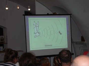 Międzynarodowa Noc Nietoperzy w Nieborowie - relacja, 
