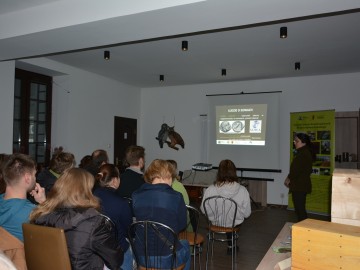 Noc Sów w Bolimowskim Parku Krajobrazowym 2024 - relacja, 