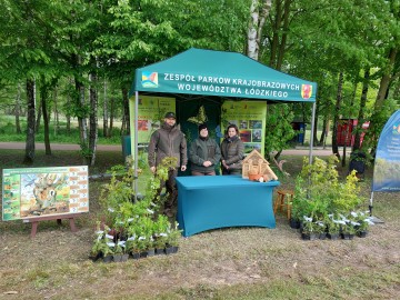 Piknik w Lisowicach, 