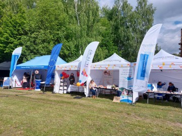 Piknik w Lisowicach, 
