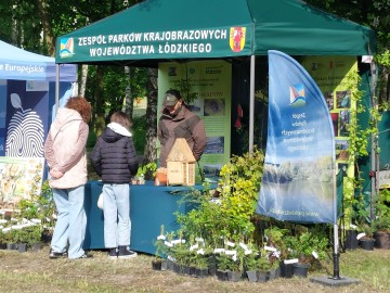 Piknik w Lisowicach, 