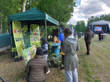 Piknik w Lisowicach, 
