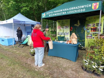 Piknik w Lisowicach, 