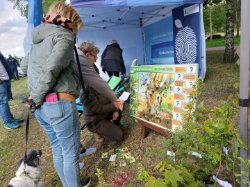 Piknik w Lisowicach, 