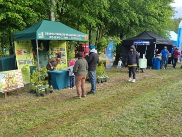 Piknik w Lisowicach, 