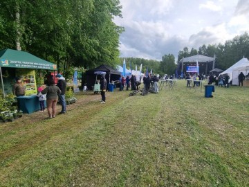 Piknik w Lisowicach, 