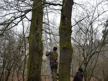 Przegląd budek dla puszczyka w BPK, K.Nowak