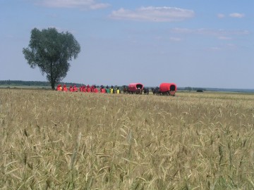 W Bolimowskim Parku Krajobrazowym, koło Ziemiar, <p>fot. S. Pytliński</p>