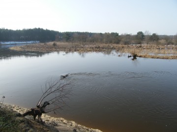 dscf7689, 