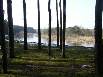 dscf7794, 