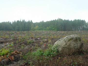 Rajd pieszy szlakiem Królewskich Łowów 2019, 