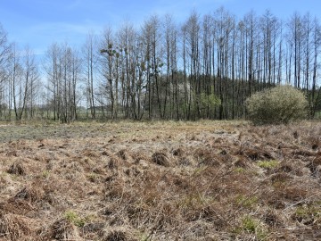 Obszar Natura 2000 Wola Cyrusowa, <p>fot. Magdalena Majda</p>