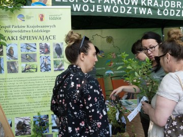Wojewódzki Dzień Dziecka w Ozorkowie fot. A. Staśkiewicz UMWŁ, 