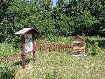 Kolejne działanie realizowane w porozumieniu z UNEP/GRID Warszawa w ramach projektu Re:Generacja Dekada odbudowy siedlisk, założona łąka kwietna i hotele dla zapylaczy, 