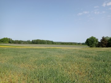 II Rajd pieszo-rowerowy Tęgie Mięśnie Tęgi Umysł 2023, 