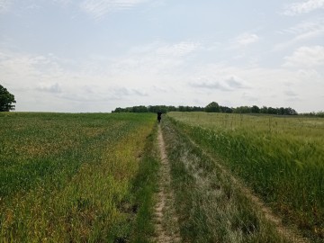 II Rajd pieszo-rowerowy Tęgie Mięśnie Tęgi Umysł 2023, 