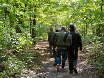 Szkolenie dot. grzybów nadrzewnych i nadrewnowych dla pracownikow ZPKWŁ 17.09.2018r., 
