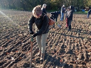Biało-czerwony sad tradycyjny w ŁODR w Bratoszewicach, 