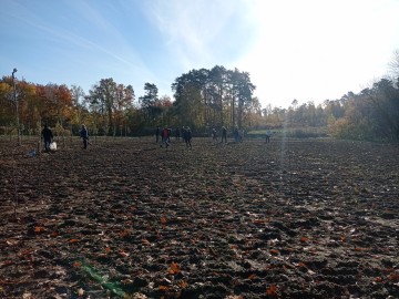 Biało-czerwony sad tradycyjny w ŁODR w Bratoszewicach, 