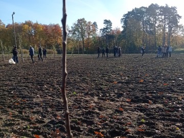 Biało-czerwony sad tradycyjny w ŁODR w Bratoszewicach, 