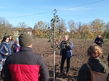 Biało-czerwony sad tradycyjny w ŁODR w Bratoszewicach, 