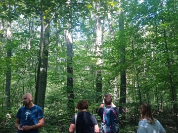 spacer mykologiczny 