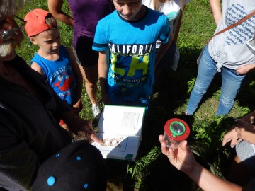 Dzienne warsztaty z motylami w PKWŁ - dolina Bzury, 