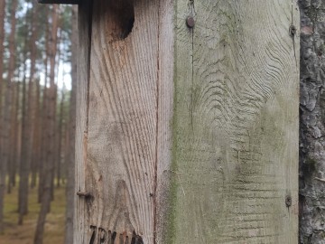 Czyszczenie budek lęgowych w PKMWiW, <p>K. Kierniakiewicz</p>