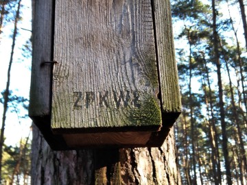 Czyszczenie budek lęgowych w PKMWiW, <p>M. Ignaczak</p>