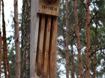 Skrzynka szczelinowa, <p>M. Ignaczak</p>
