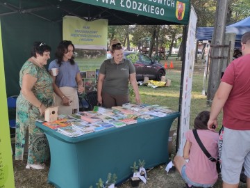 Piknik Działoszyn, 