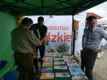 Piknik w Sieradzu, 