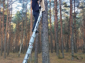 Nowe skrzynki dla nietoperzy oraz kosze dla uszatek w PKMWiW, 