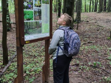 Spacer edukacyjny wokół rezerwatu Hołda, 