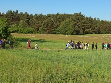 Zajęcia terenowe w PKMWiW, <p>M. Ignaczak</p>