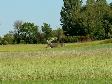 Zajęcia terenowe w PKMWiW, <p>M. Ignaczak</p>