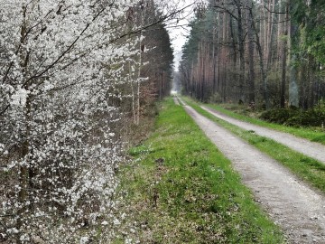 Zajęcia terenowe z okazji Międzynarodowego Dnia Ziemi w PKMWiW, <p>M. Ignaczak</p>
